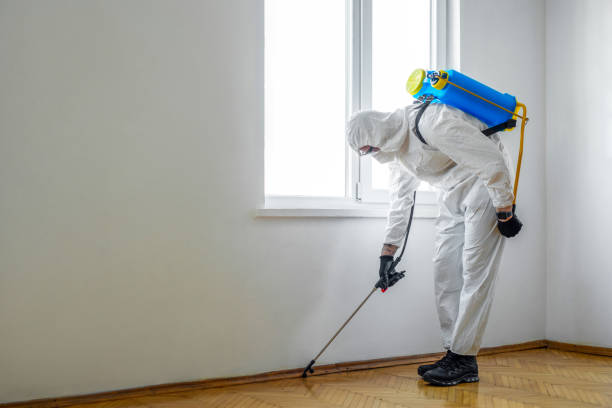 Best Mosquito Control Services  in Urbana, OH