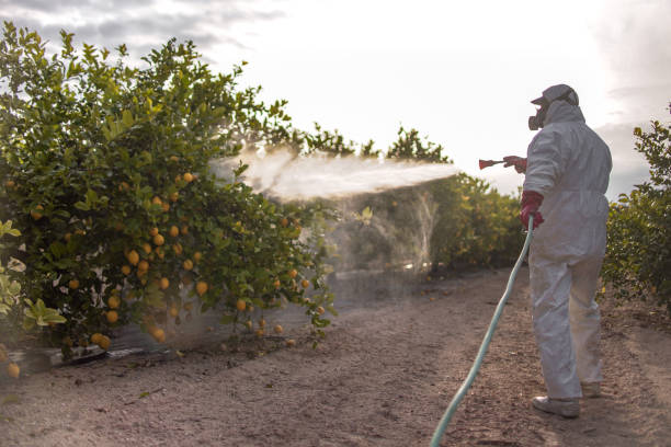 Best Pest Control for Homes  in Urbana, OH