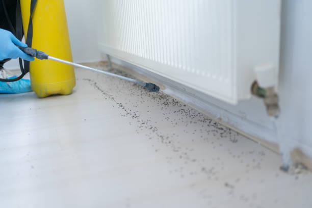 Best Best Pest Control Companies  in Urbana, OH