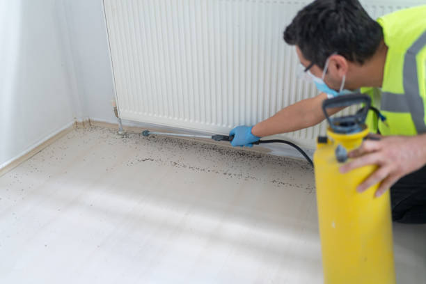 Best Pest Prevention Services  in Urbana, OH